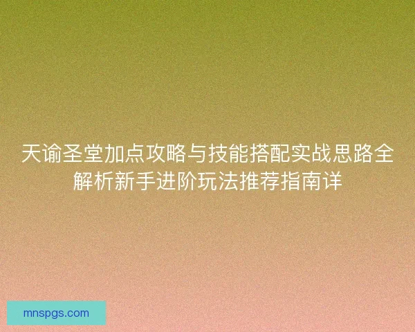 天谕圣堂加点攻略与技能搭配实战思路全解析新手进阶玩法推荐指南详