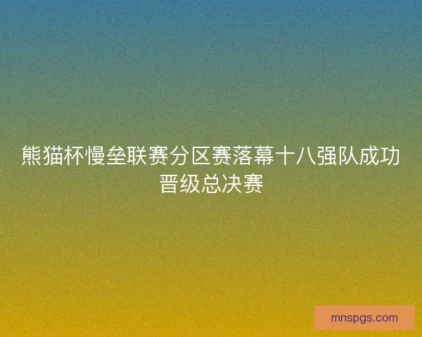 熊猫杯慢垒联赛分区赛落幕十八强队成功晋级总决赛